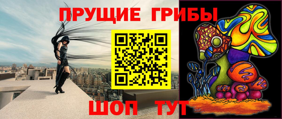 Галлюциногенные грибы Psilocybe  Вход с VPN  купить   Ессентуки 